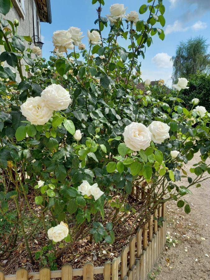 Le Domaine Du Chaffard Bed & Breakfast เลซาวีแนร์ ภายนอก รูปภาพ